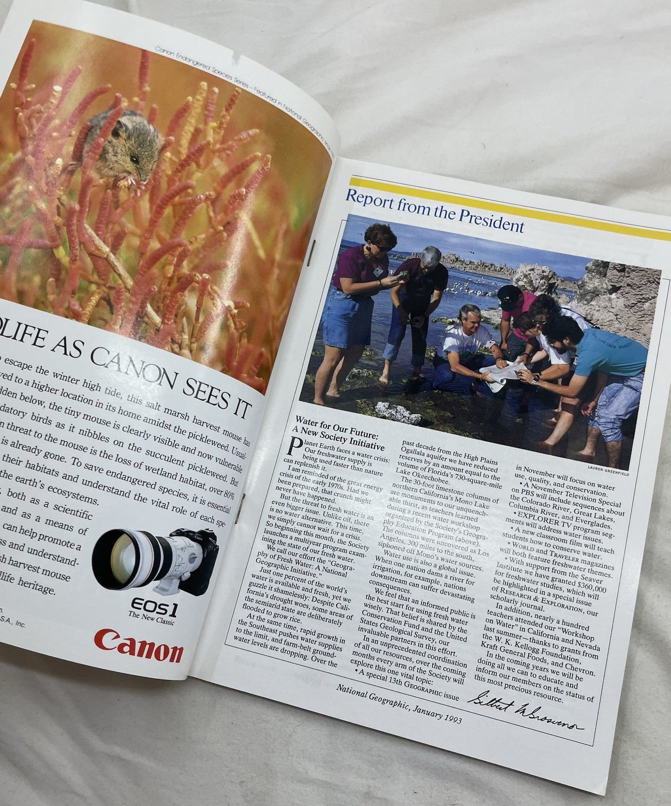 Vintage Nat Geo Lot Jan–Jun 1993 w/ Slipcover | Science, Illustrated Set