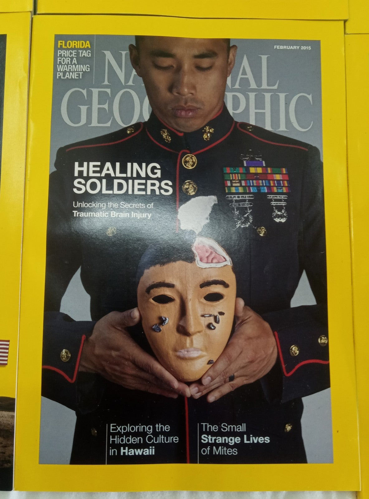 Nat Geo Jan–June 2015 VG+ | Faux Leatherette Case | 6 Issue Magazine Set