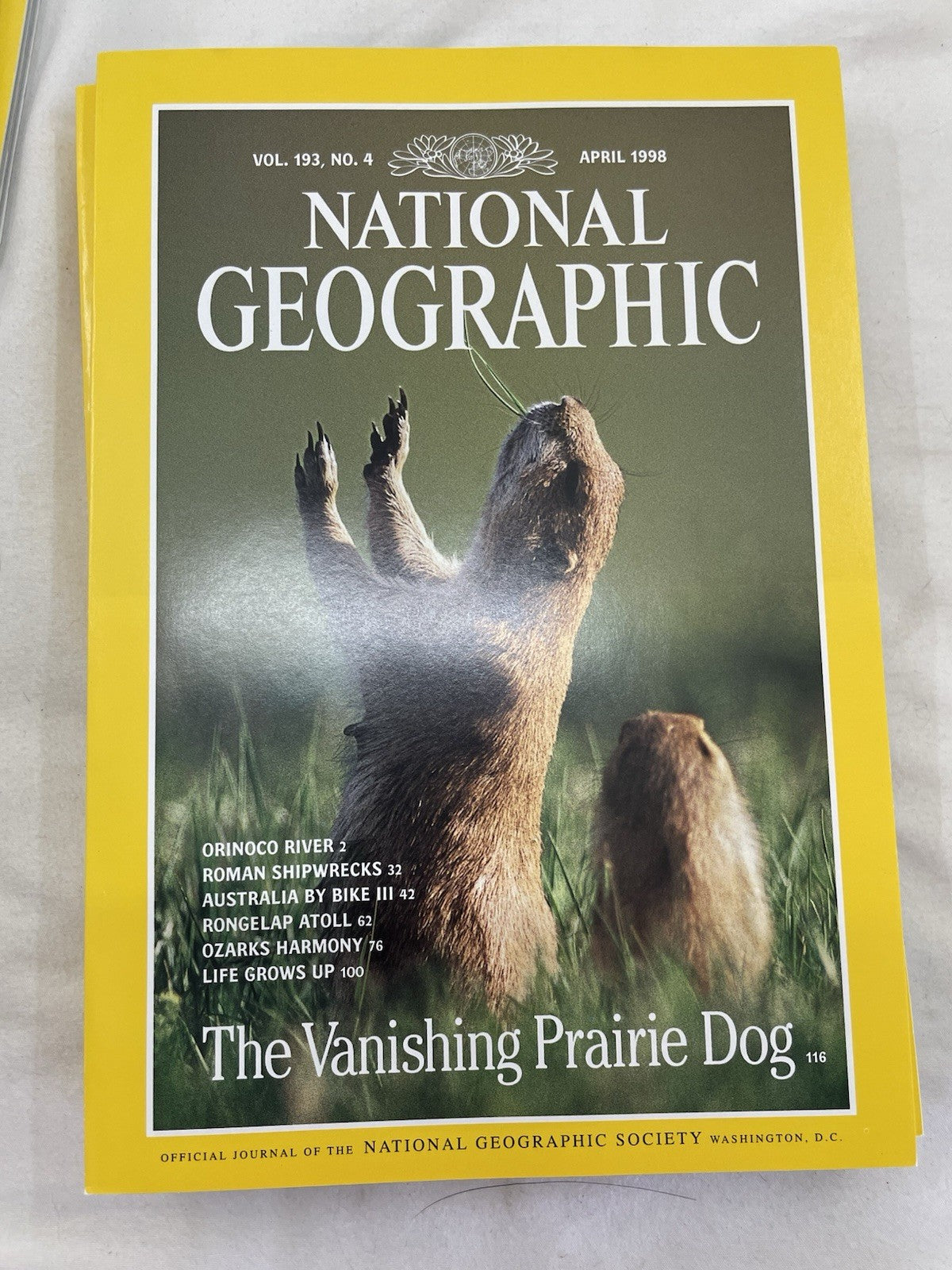 Vintage Nat Geo Jan–Jun 1998 Set w/ Slipcover | Wildlife, Photography