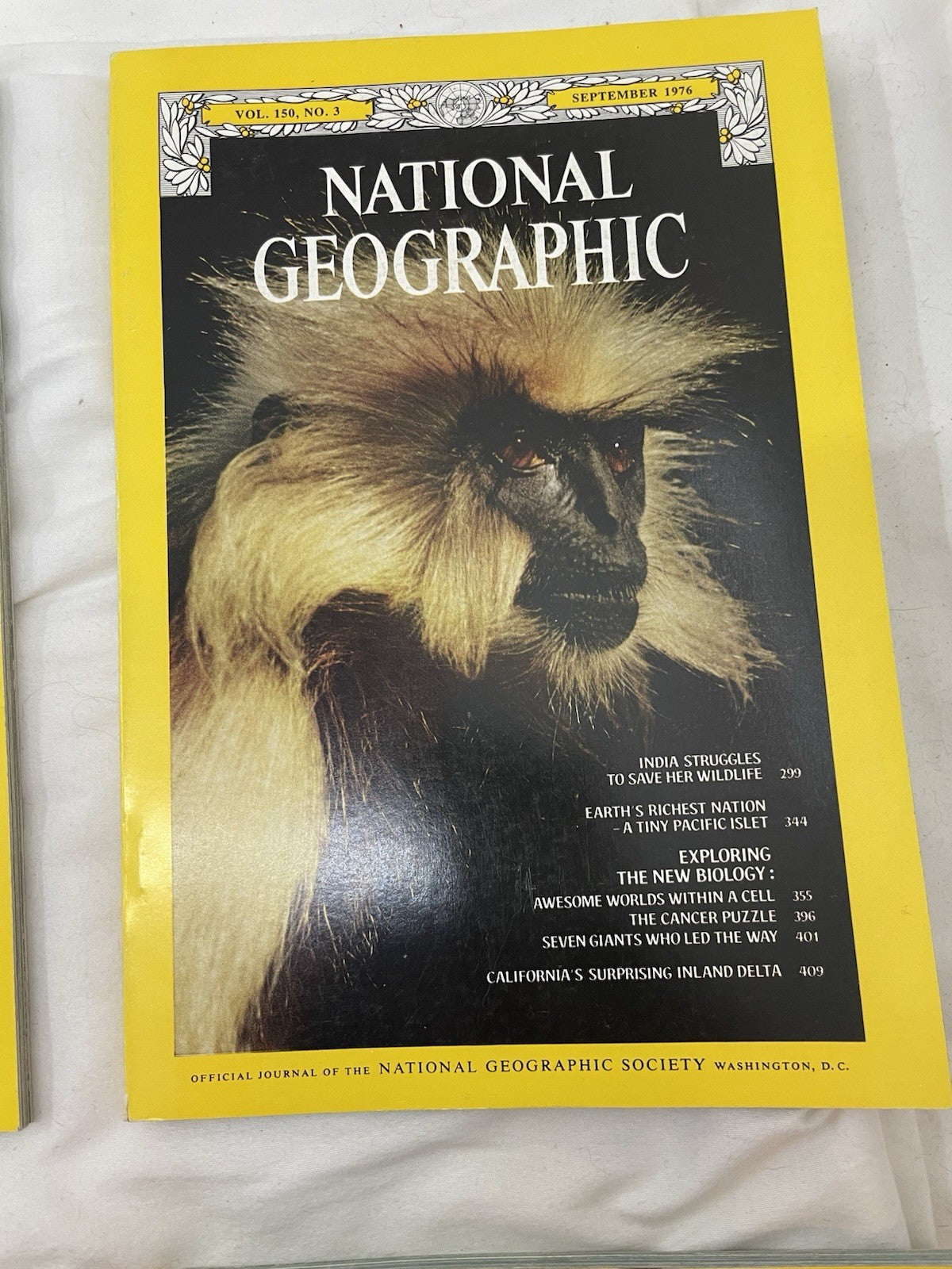Nat Geo Jul–Dec 1976 Slipcover Lot | Vintage Science, Wildlife Magazine