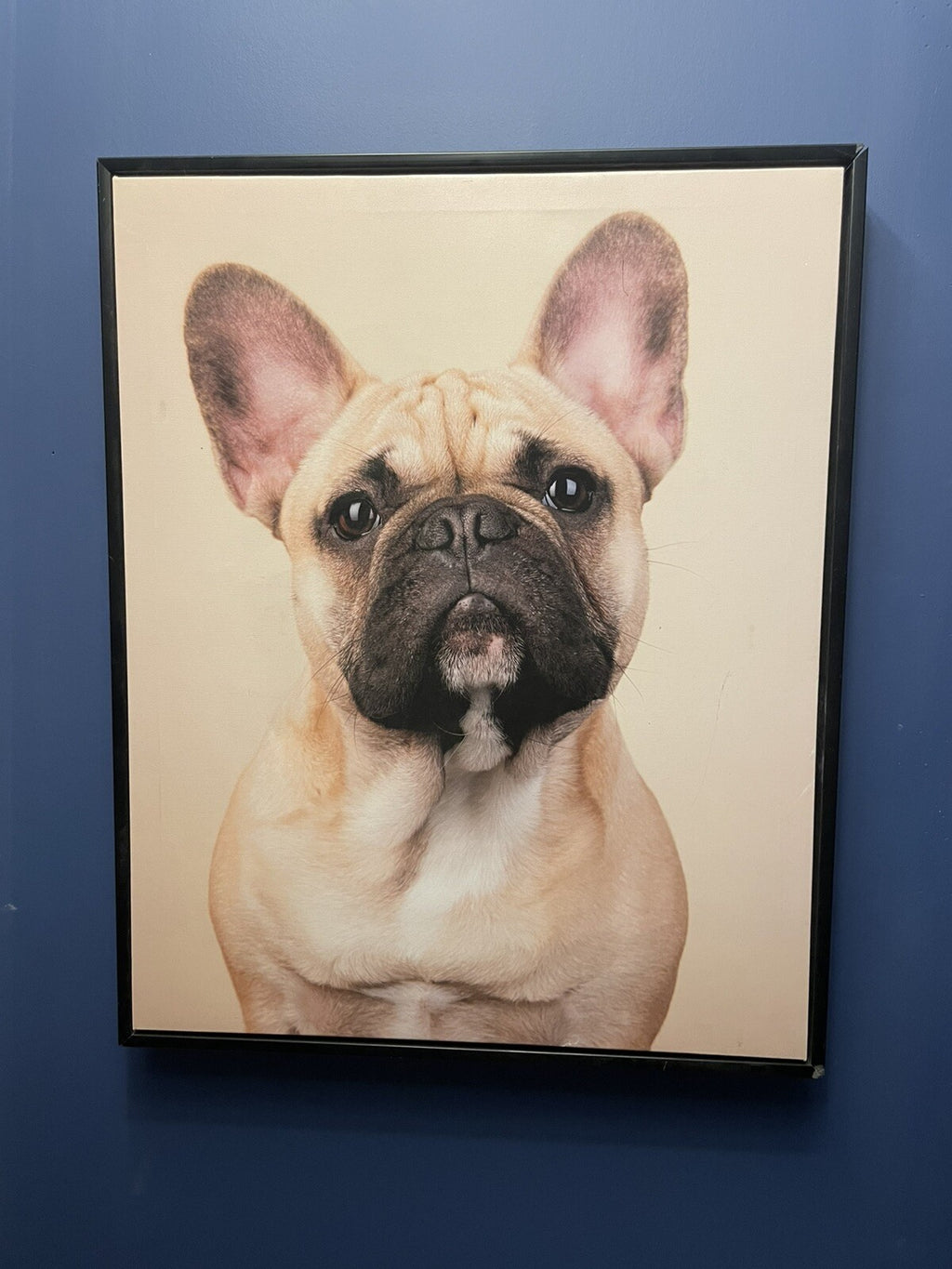 Framed Dog Picture on Canvas – Pet Lover's Wall Art Decor