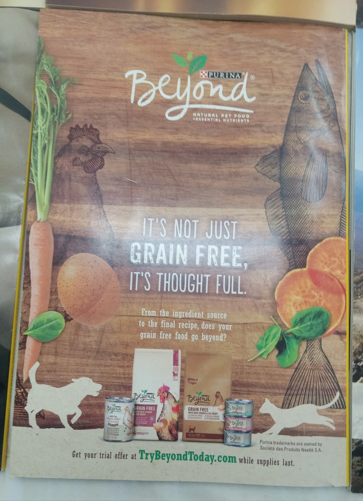 Nat Geo Magazines With Slipcover July To December 2016