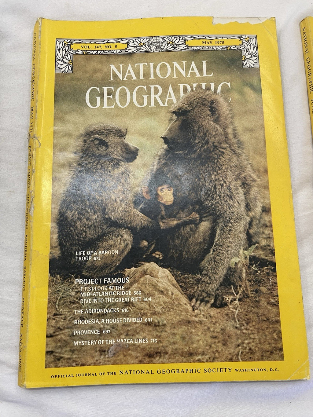 Nat Geo Mags Jan–Jul 1985 Vtg Slipcvr Set Collect Geo Travel Decor Ed.