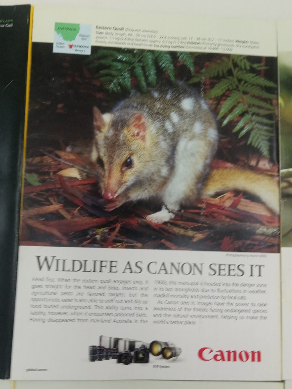 National Geographic Jan–June 2019 VG+ | Faux Leatherette Case | 6 Mags