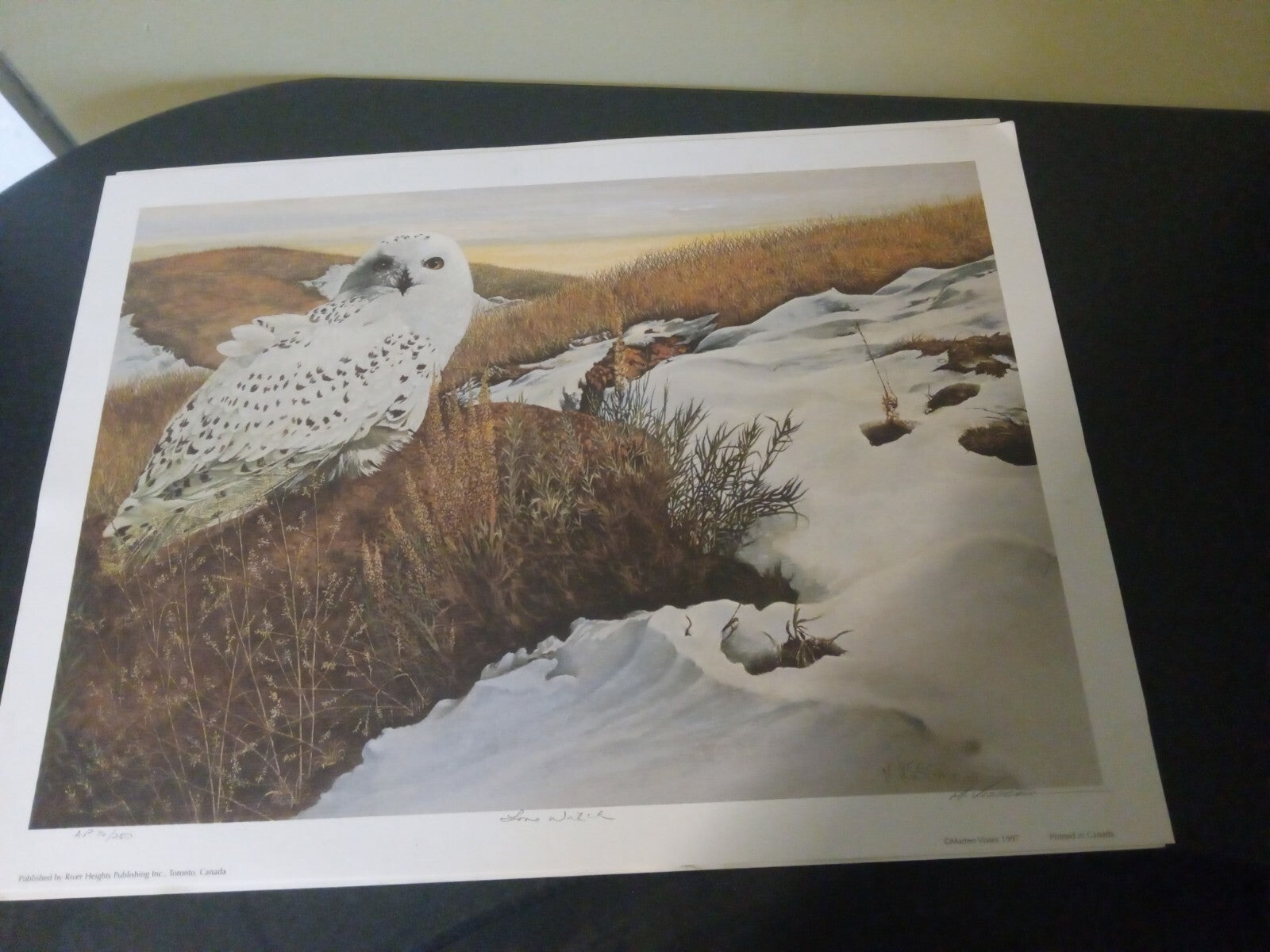 Signed Limited Edition M. Visser Print – Unique Art Piece for Collectors