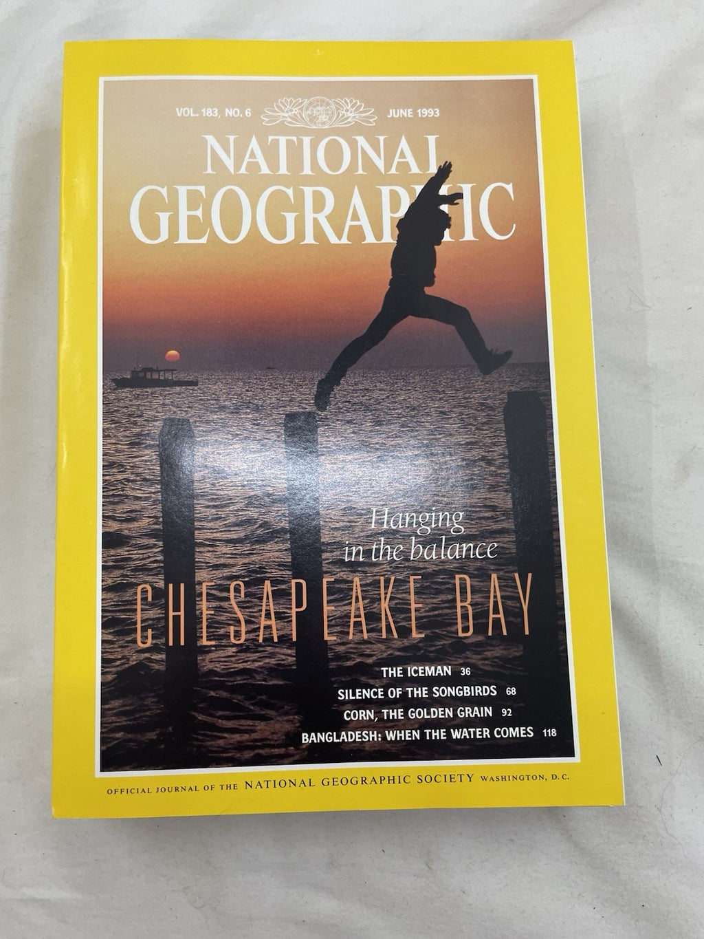 Vintage Nat Geo Lot Jan–Jun 1993 w/ Slipcover | Science, Illustrated Set