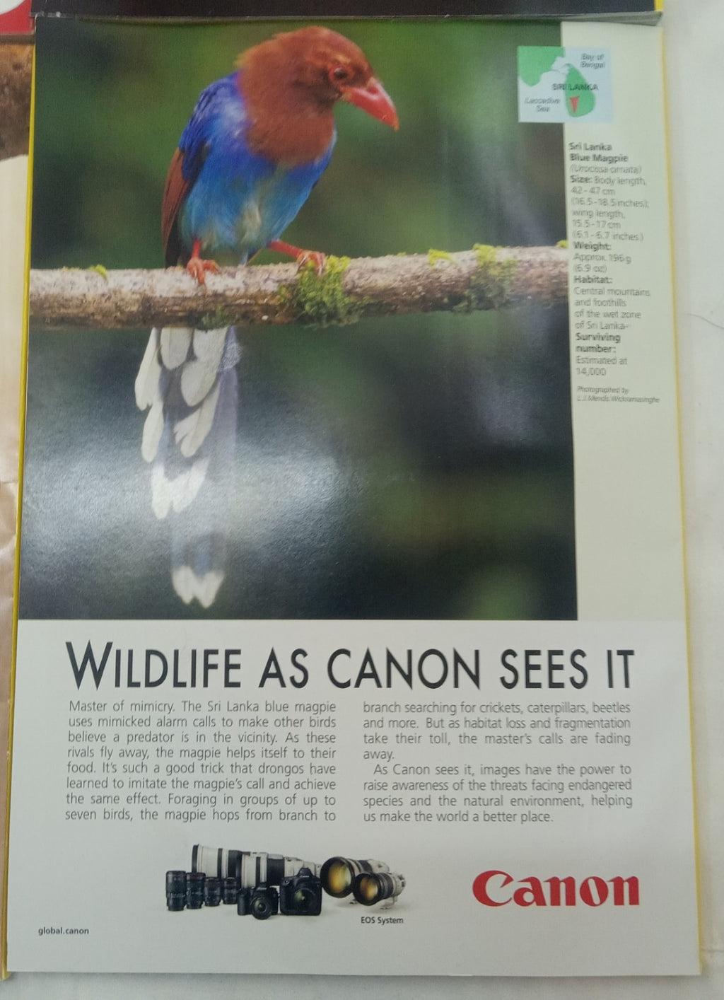 Nat Geo Magazines With Slipcover Jan To June 2017