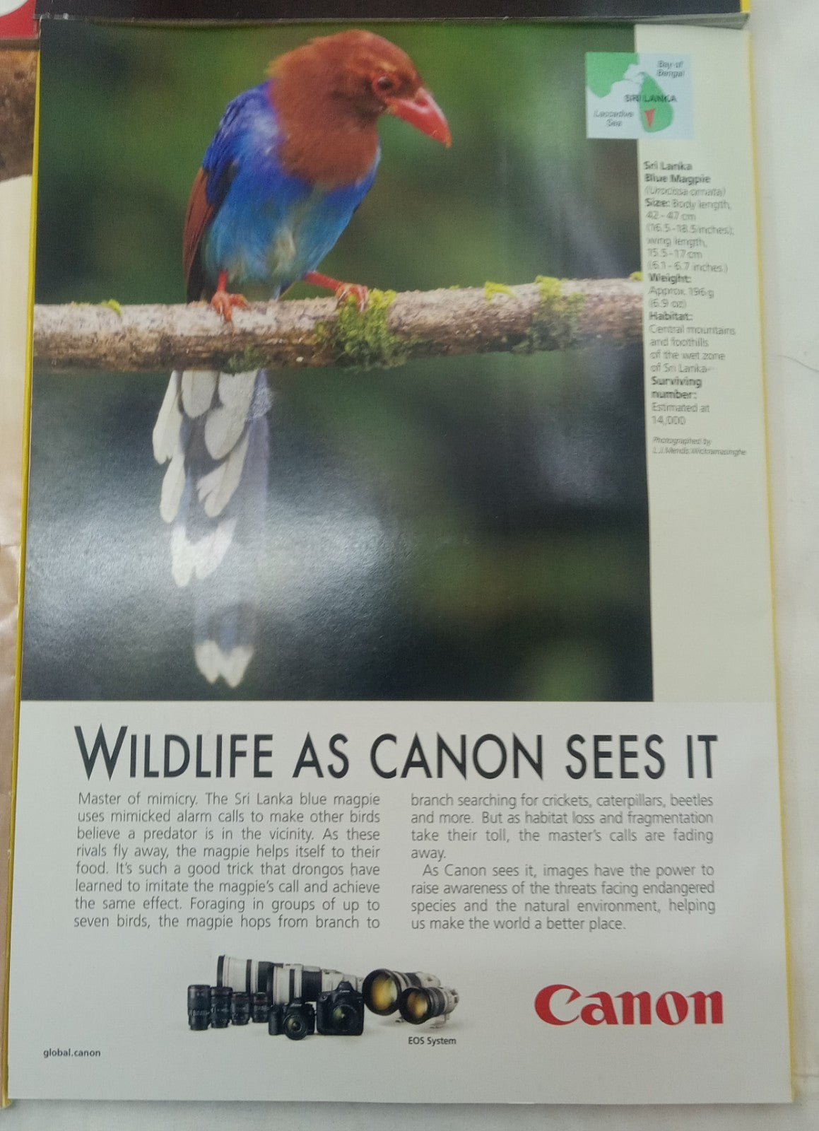 Nat Geo Magazines With Slipcover Jan To June 2017