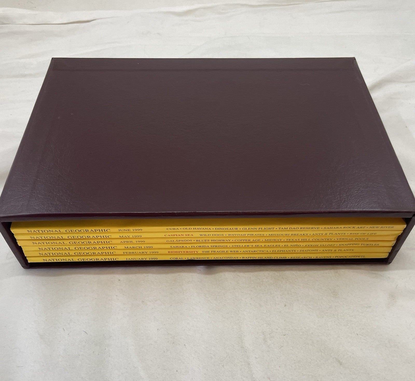 Vintage Nat Geo Jan–Jun 1999 Set w/ Slipcover | Nature, Wildlife, Earth