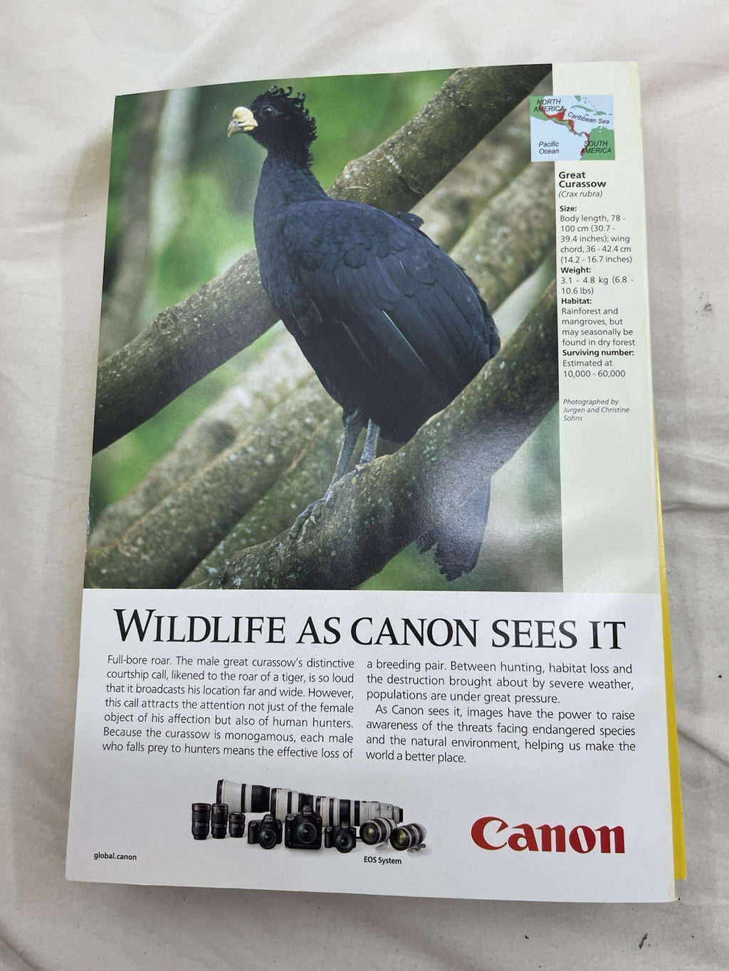 Nat Geo Lot Jul–Dec 2019 w/ Slipcover | World, Science, Photography