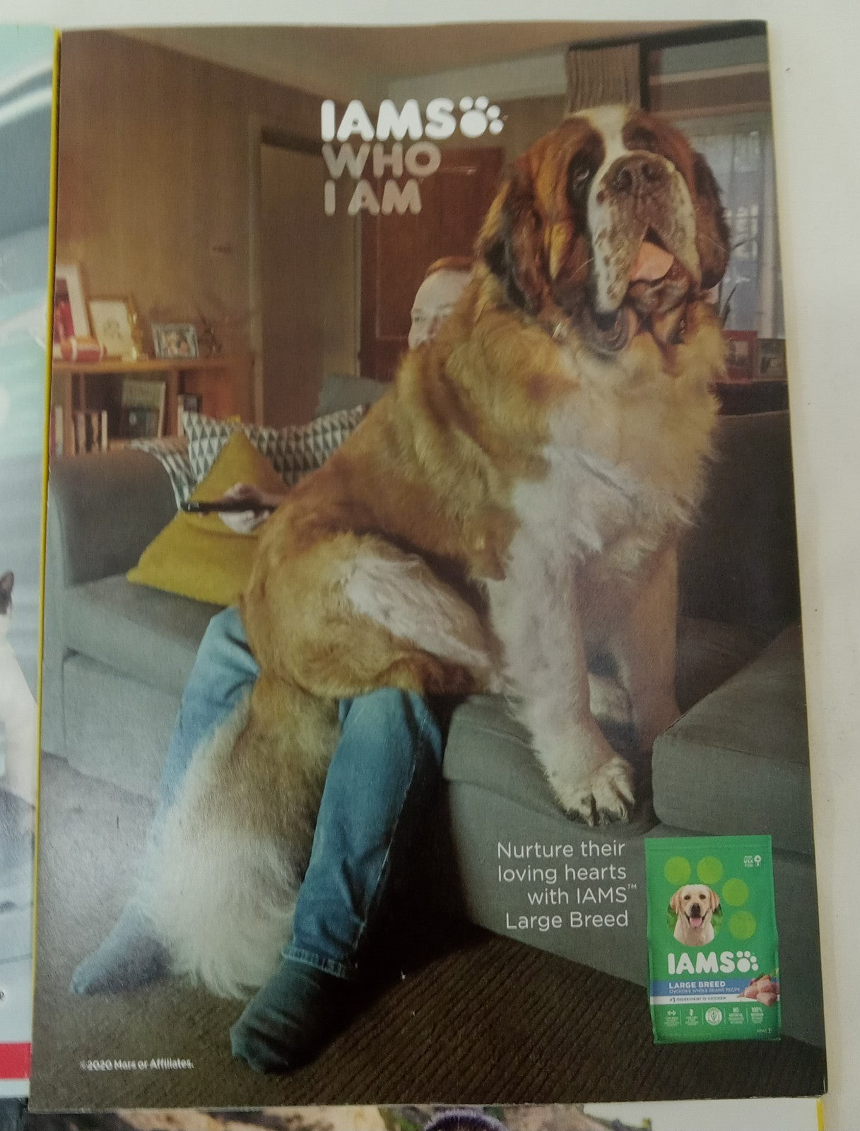 Nat Geo Jan–June 2021 | 6 VG+ Issues in Leatherette Slipcover Case