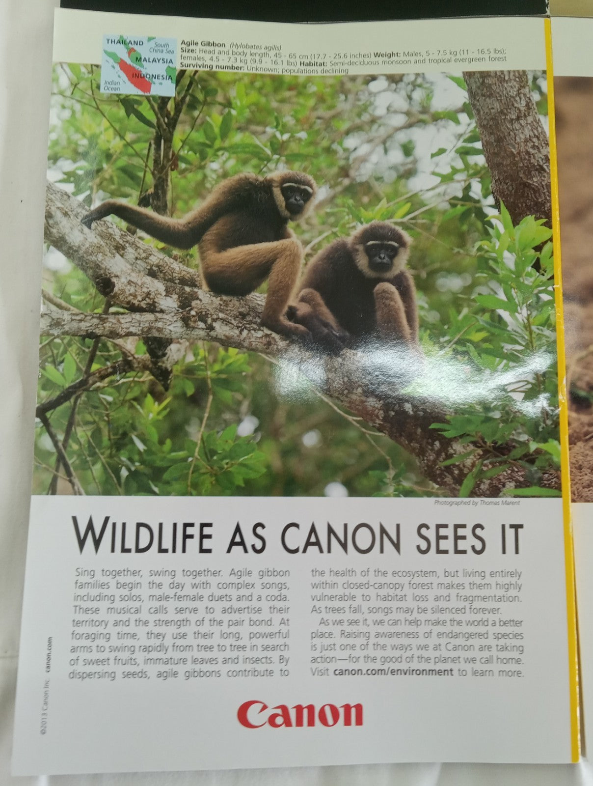 National Geographic Jul–Dec 2013 VG+ | 6 Issues in Faux Leather Slipcase