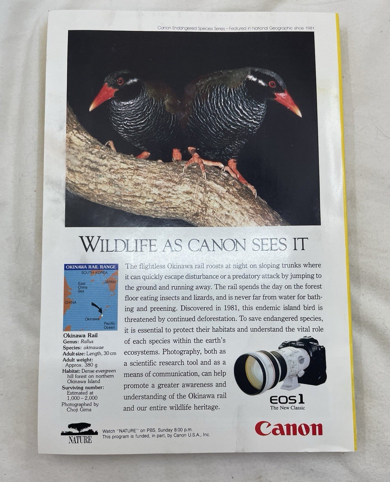 Vintage Nat Geo Lot Jan–Jun 1993 w/ Slipcover | Science, Illustrated Set