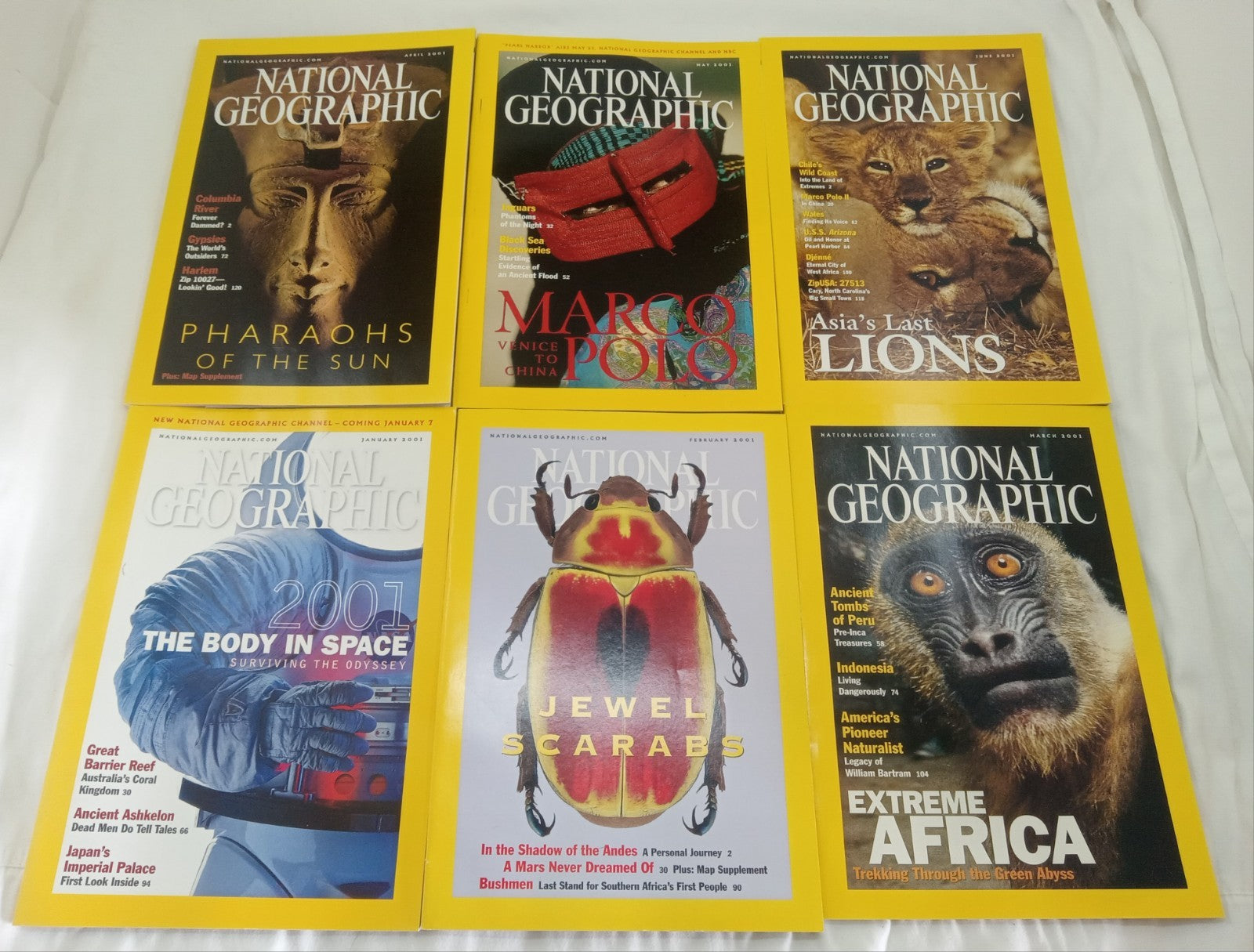 Nat Geo Magazines With Slipcover Jan To June 2001