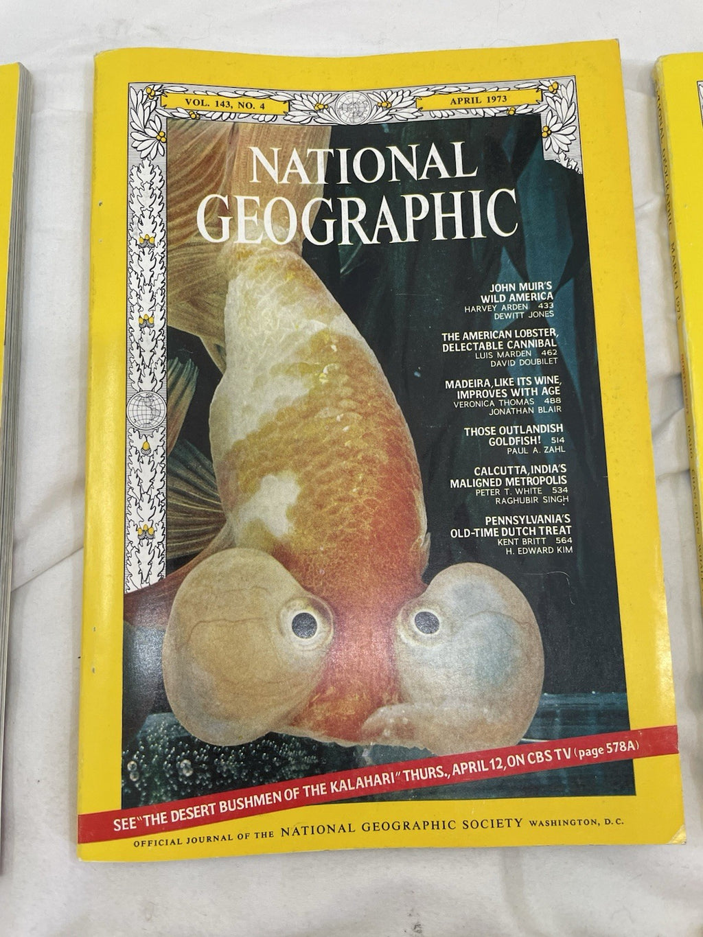 Vintage Nat Geo Jan–Jun 1973 Slipcover Set | Illustrated, Travel, Rare