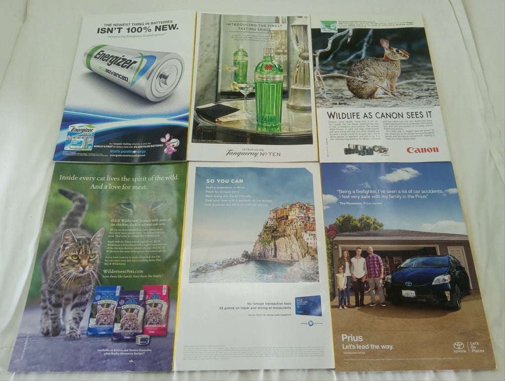 Nat Geo Jan–June 2015 VG+ | Faux Leatherette Case | 6 Issue Magazine Set