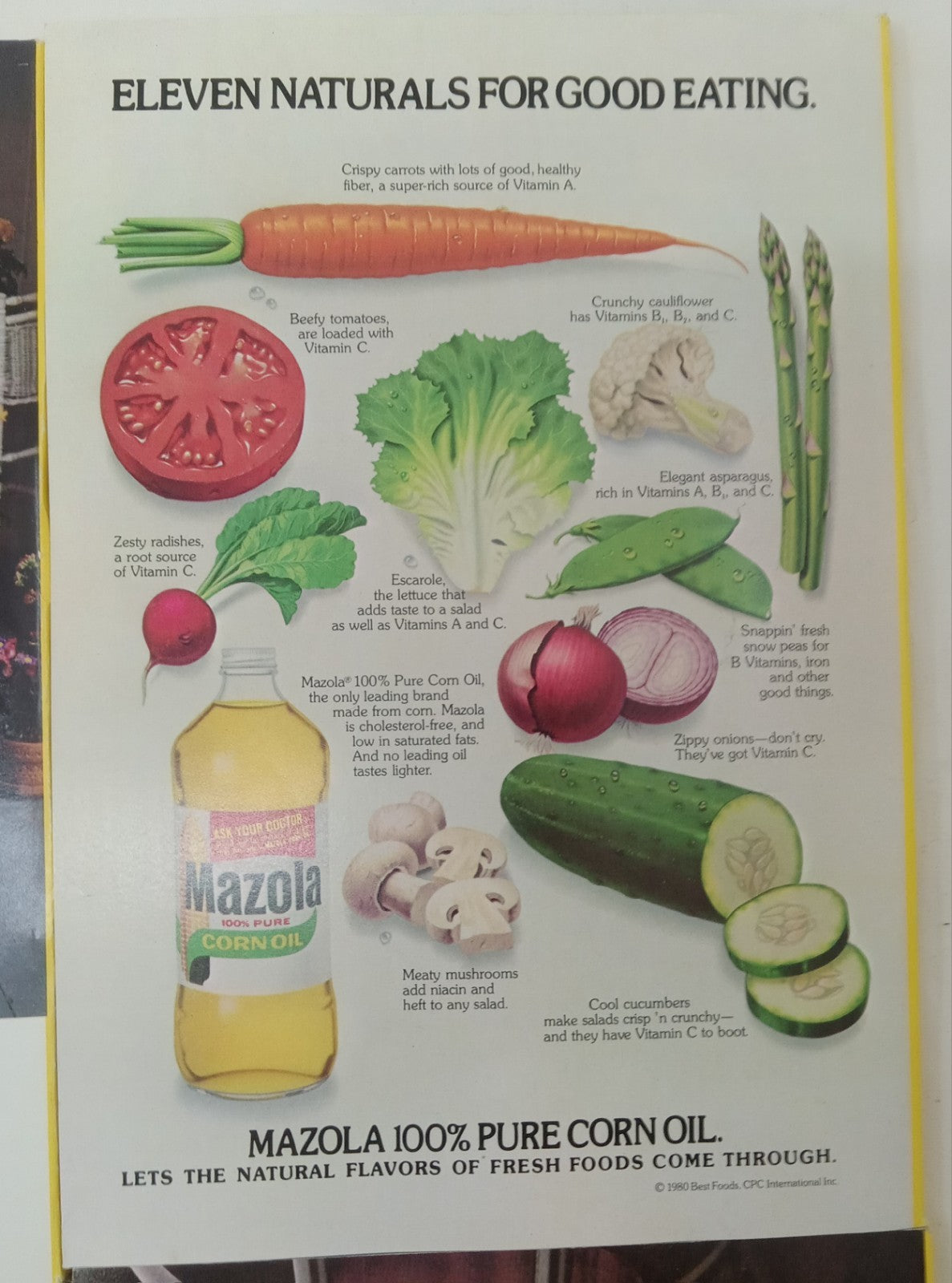 National Geographic Jul–Dec 1980 | Vintage 6-Issue Set | VG+ w/ Slipcase