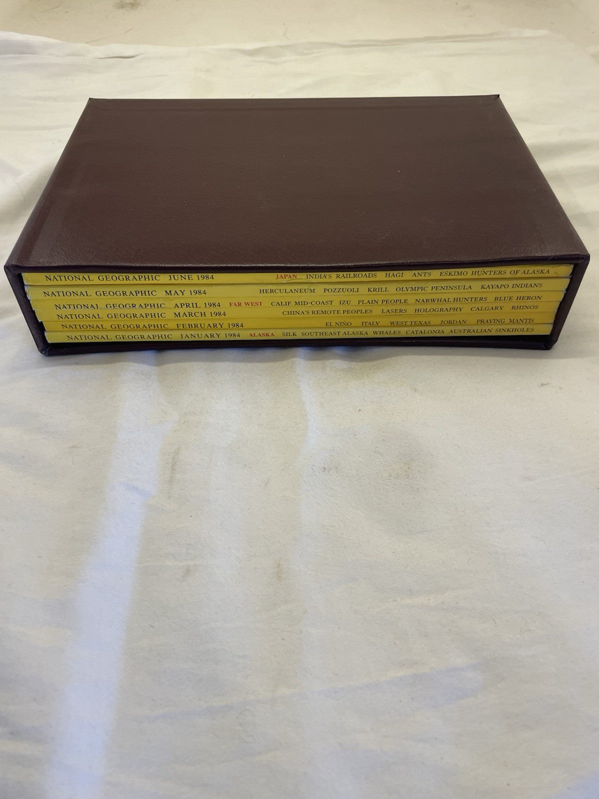 Nat Geo Mags Jan–Jun 1984 Vtg Wildlife Geo Nature Travel Decor Slipcvr