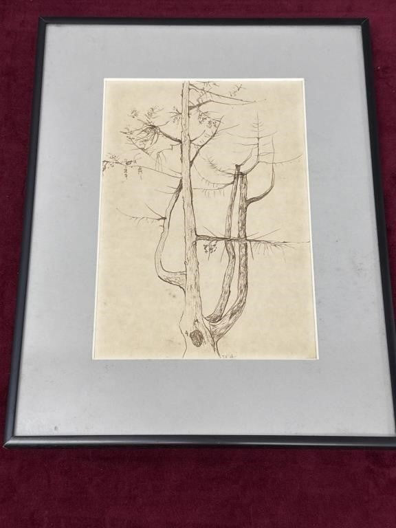 Sally B Hooff Original Ink Drawing Tree Study PEI Artist Vintage Artwork