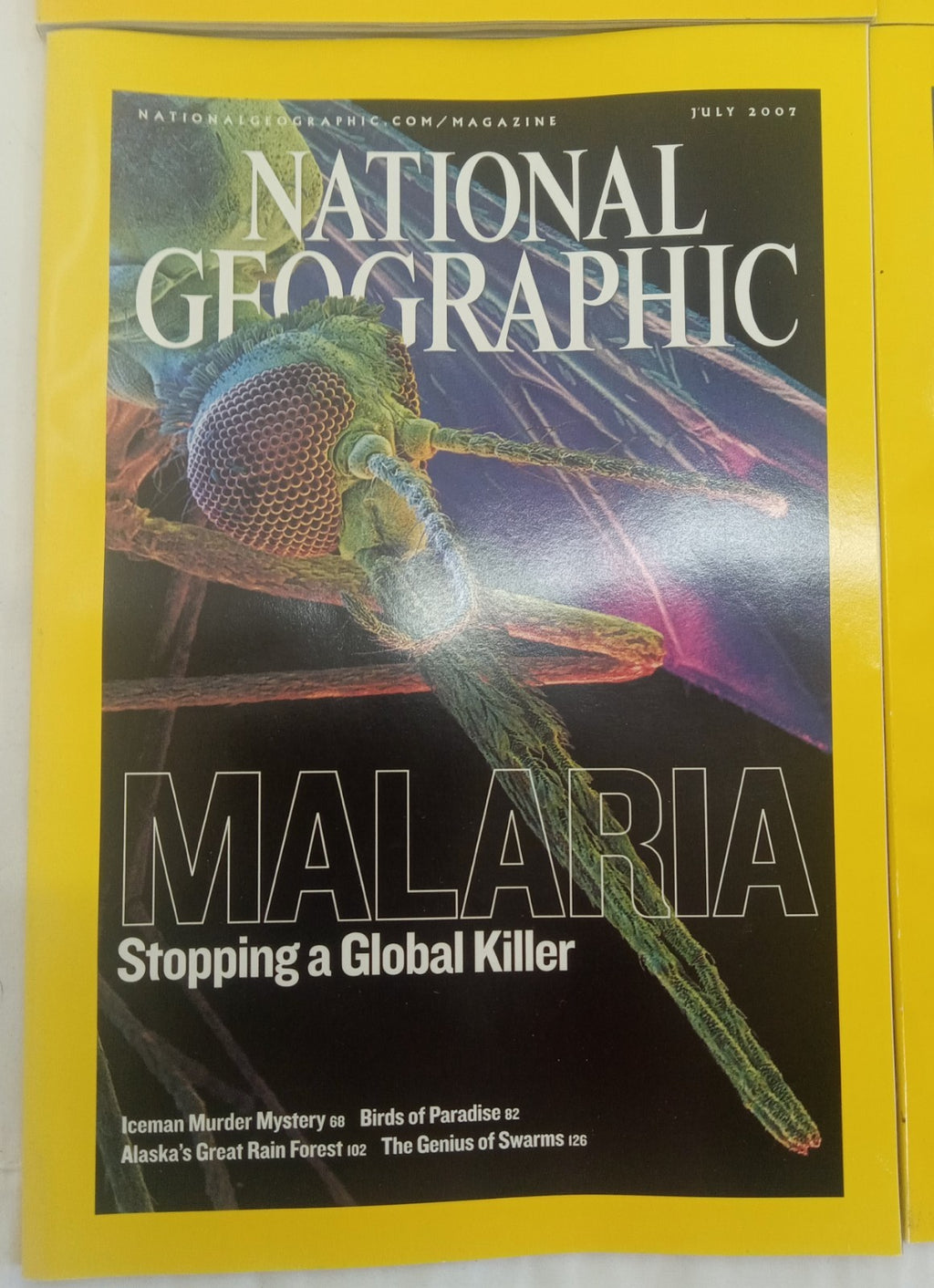 Nat Geo Magazine With Slipcover July To December 2007