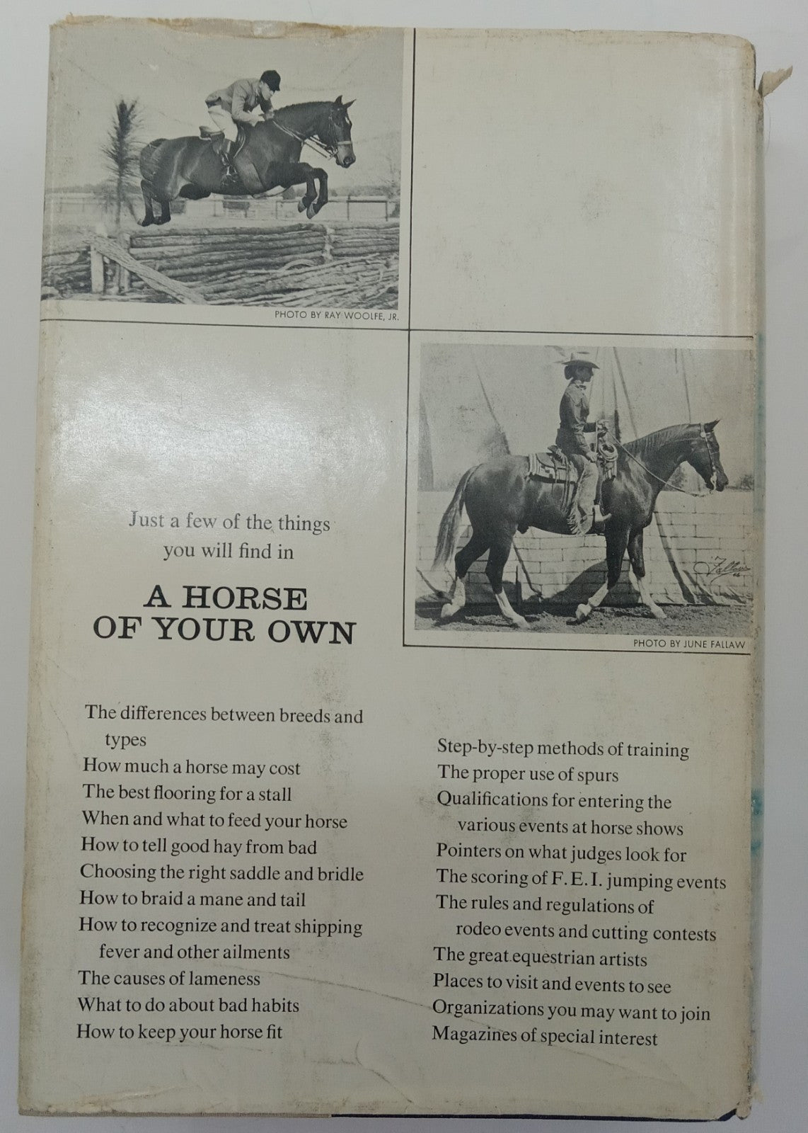 A Horse of Your Own by M. A. Stoneridge – VG+ Horse Care Riding Guide