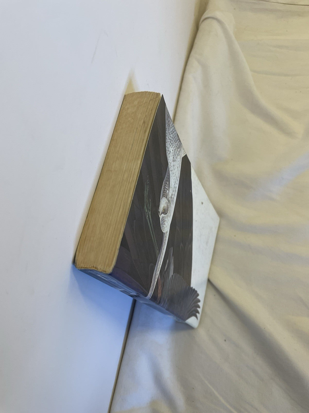 Nat Geo Birds of North America Field Guide Vintage HC Illustrated Wildlife Book