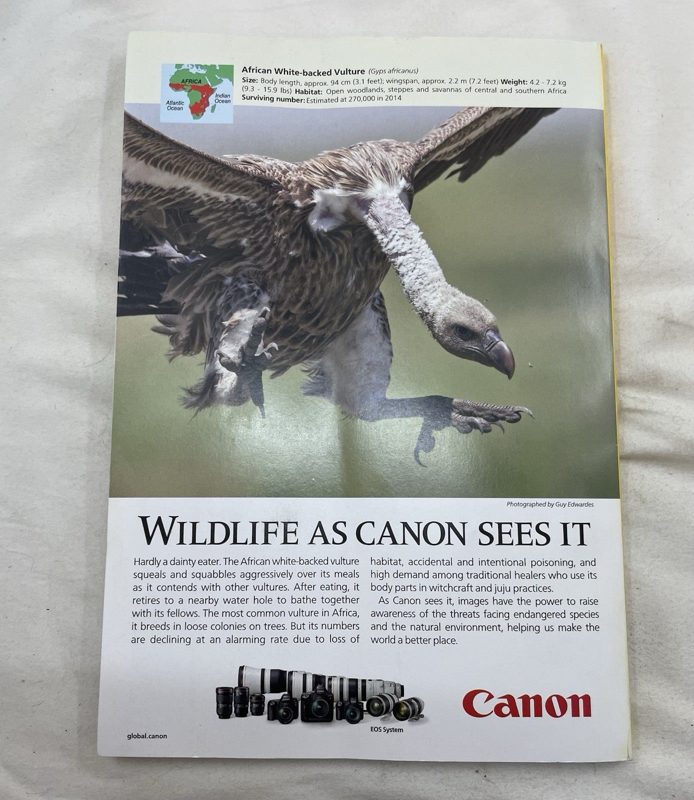 Nat Geo Lot Jul–Dec 2019 w/ Slipcover | World, Science, Photography