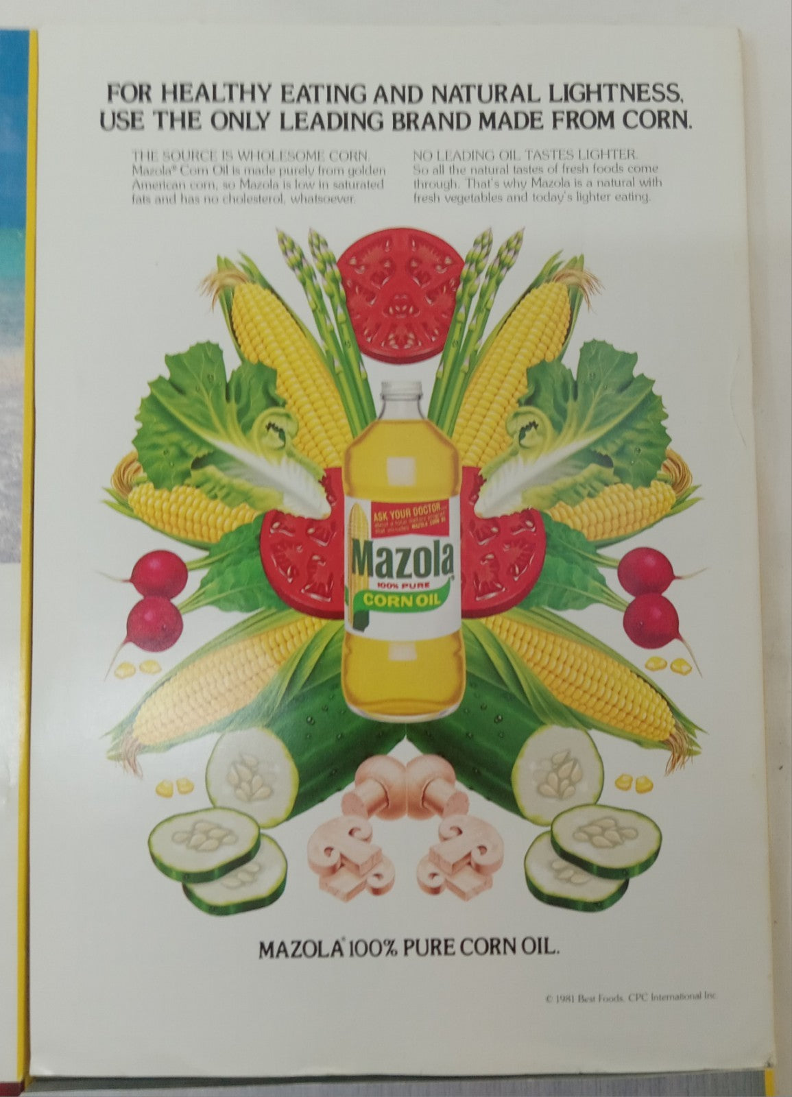 Nat Geo Jul–Dec 1982 | Vintage VG+ Set | 6 Mags in Faux Leather Slipcover