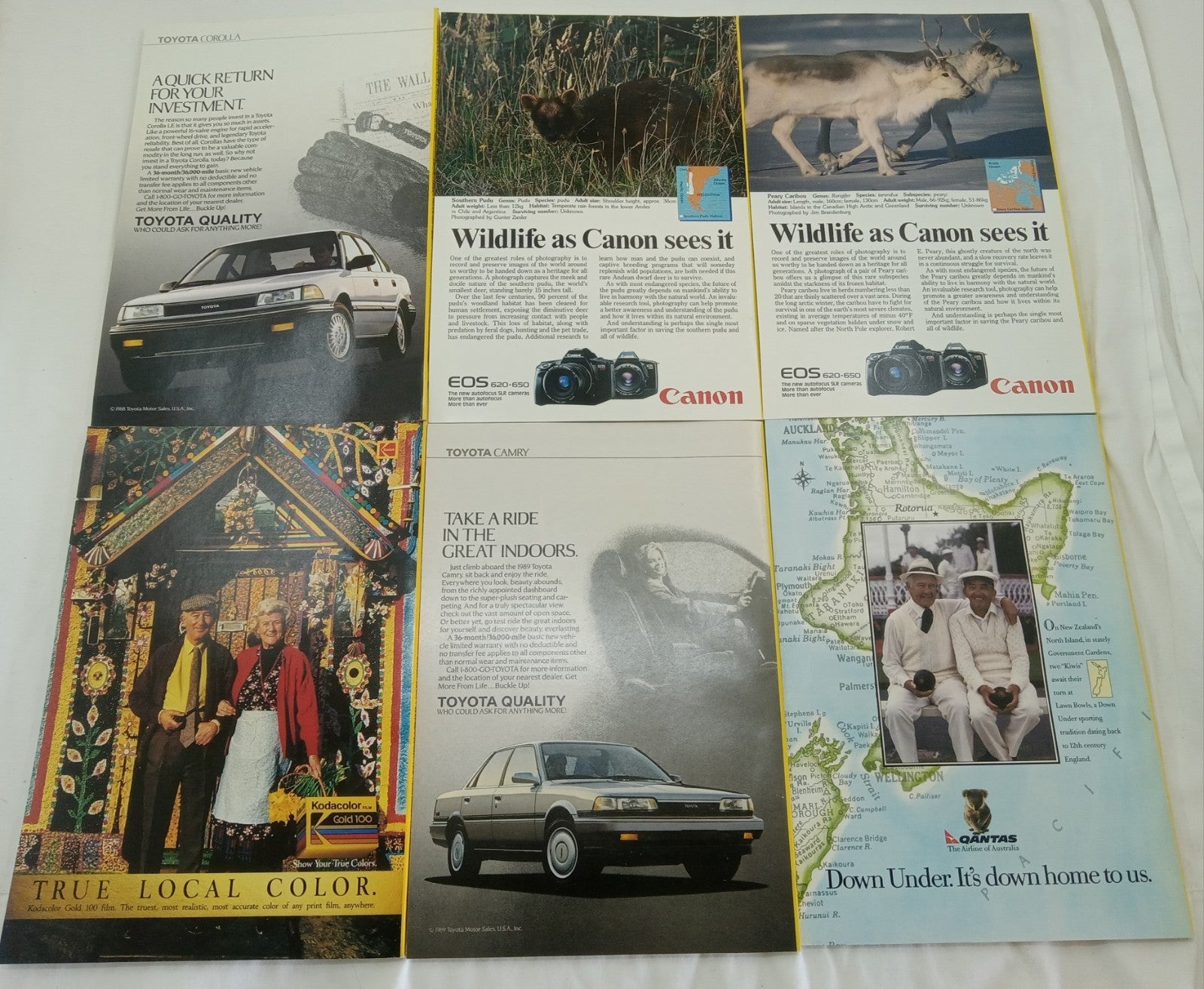 Nat Geo Magazines With Slipcover Jan To June 1989