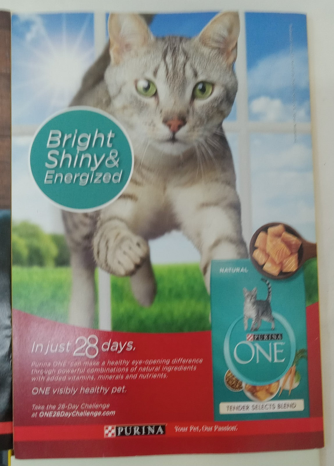 National Geographic Magazine Set Of 6 Magazines July-Dec 2020