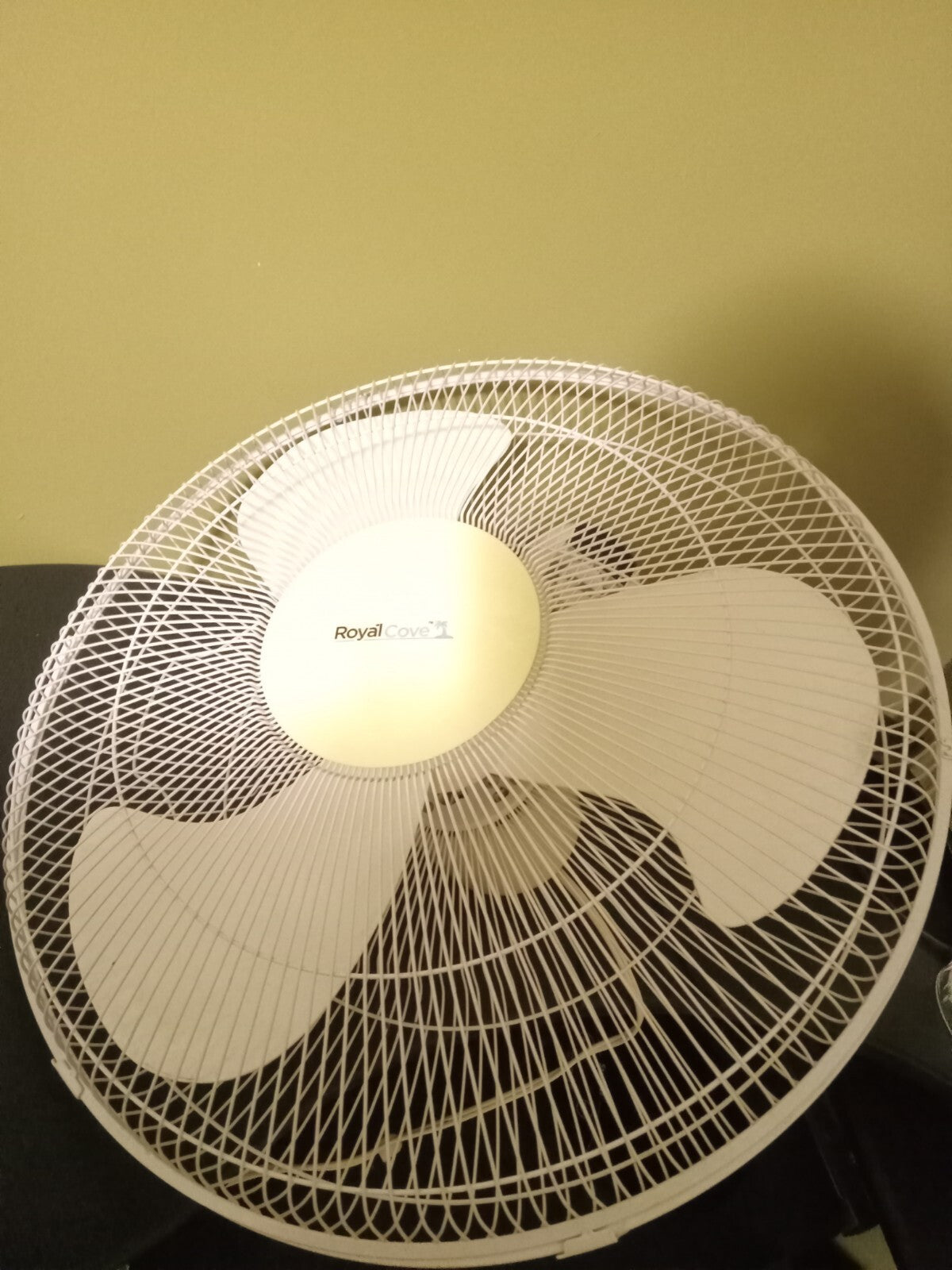 Royal Cove Wall Mount Oscillating Fan