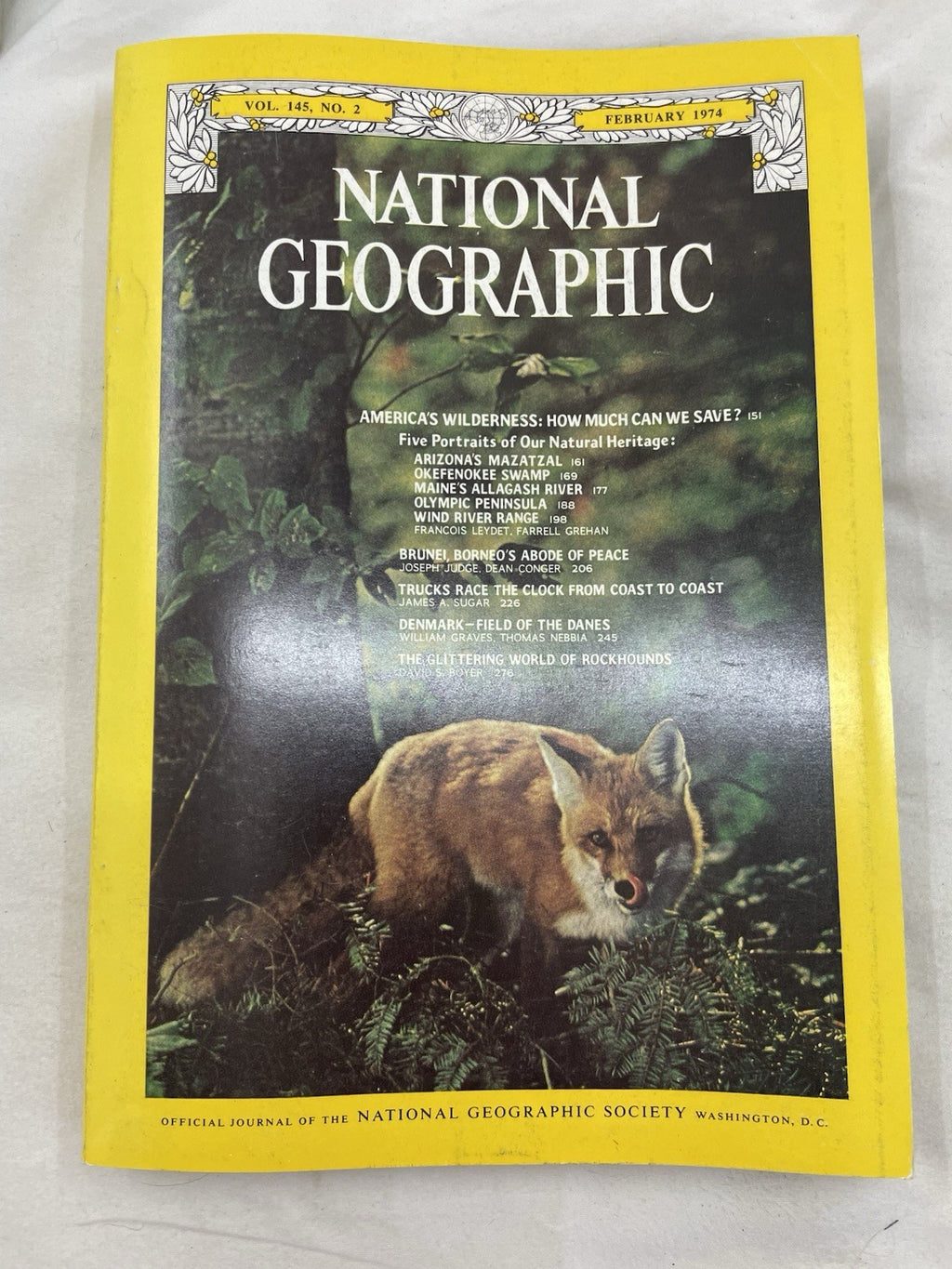 Vintage Nat Geo Jan–Jun 1974 Slipcover Set | Nature, Culture, Earth