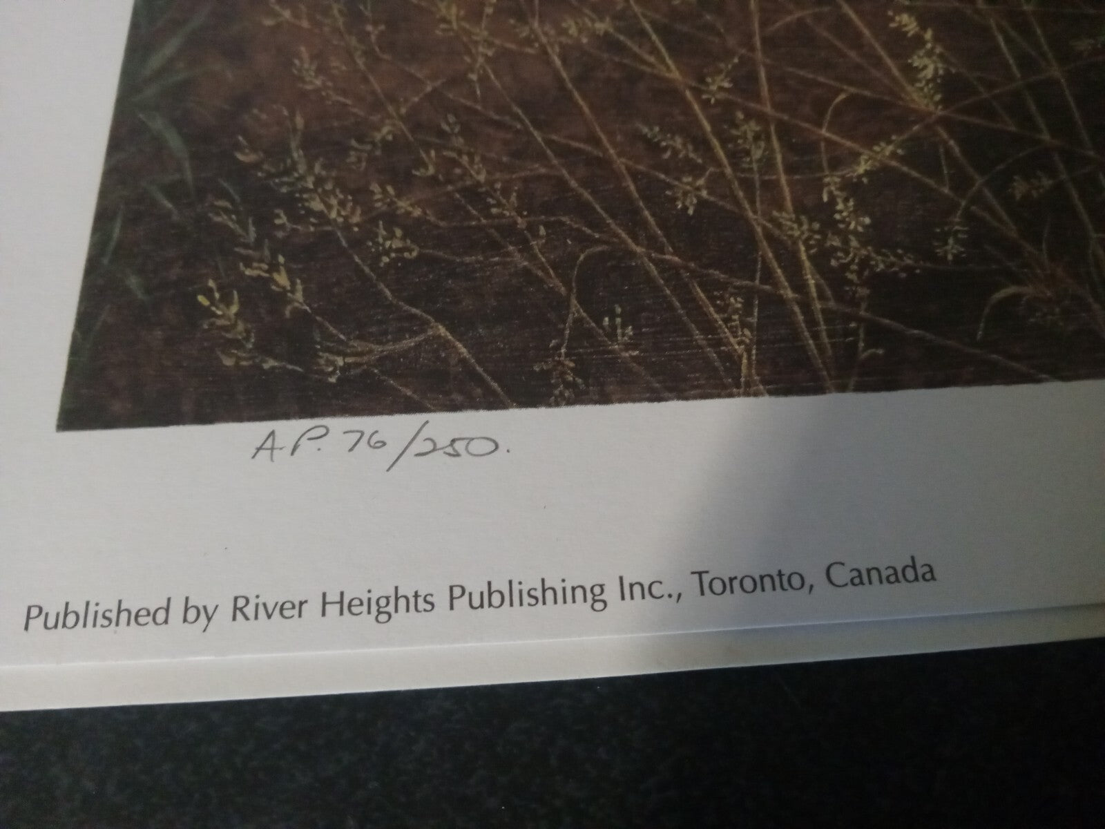 Signed Limited Edition M. Visser Print – Unique Art Piece for Collectors