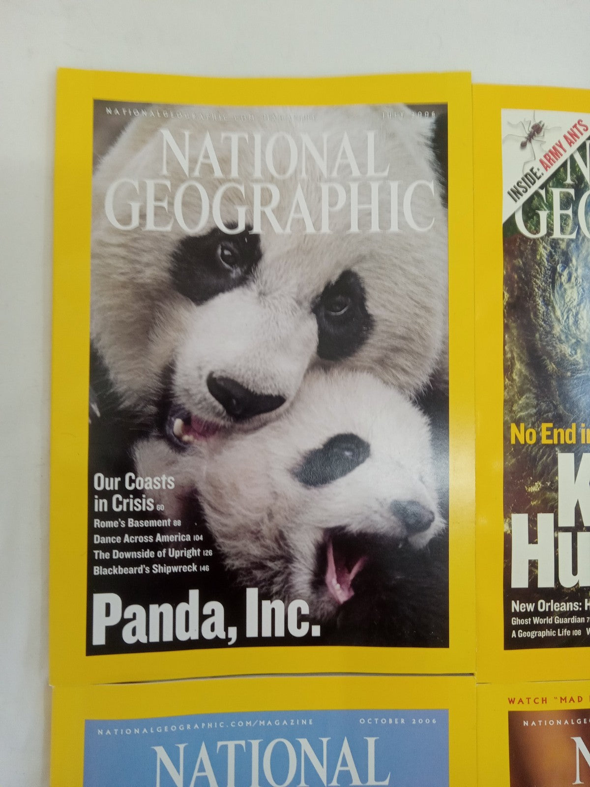 National Geographic Jul–Dec 2006 VG+ | 6 Issues | Faux Leather Slipcase