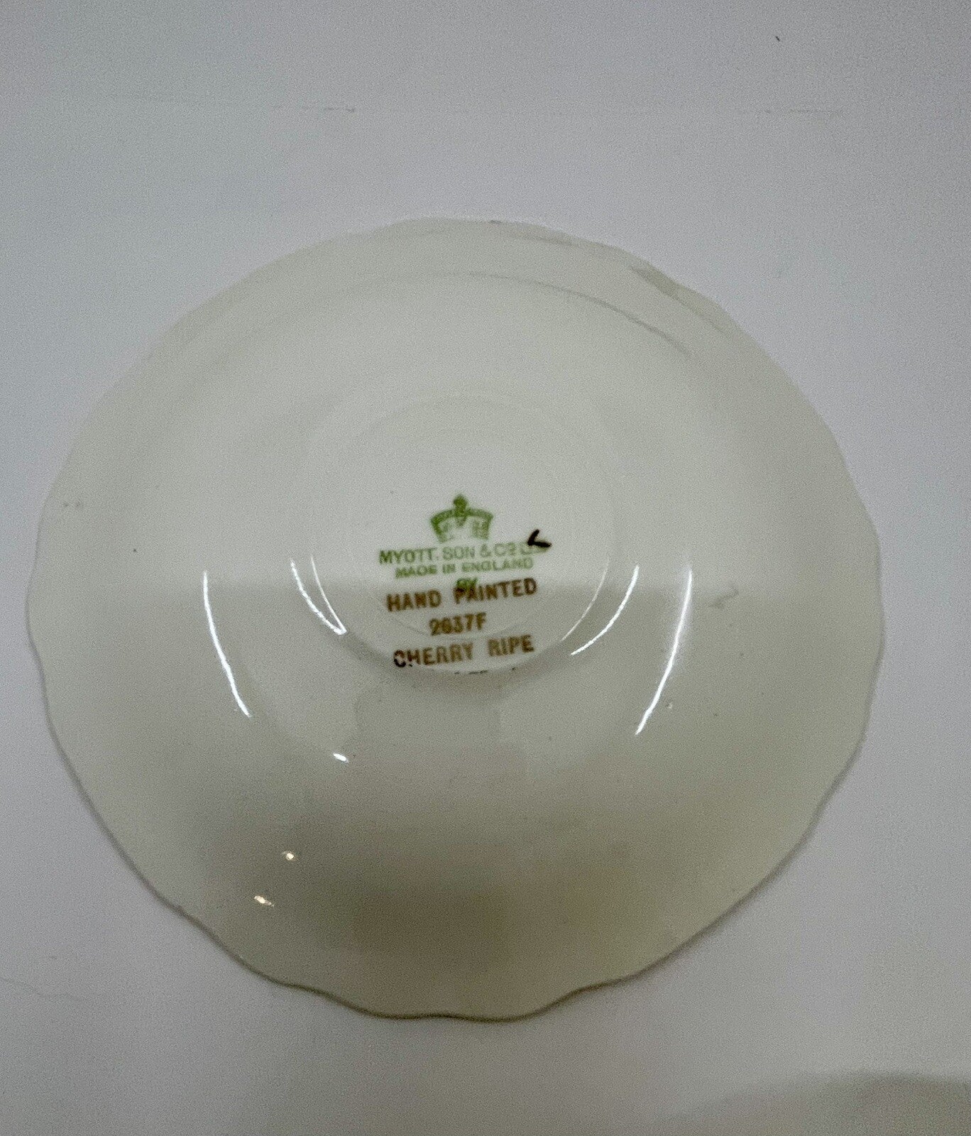 Myott Cherry Ripe Bone China Teacup & Saucer England Rose Floral Classic