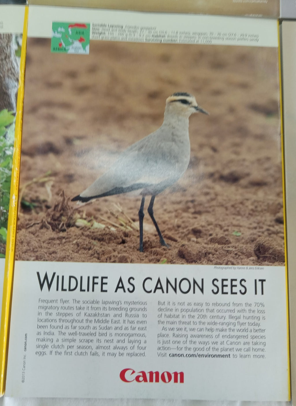 National Geographic Jul–Dec 2013 VG+ | 6 Issues in Faux Leather Slipcase