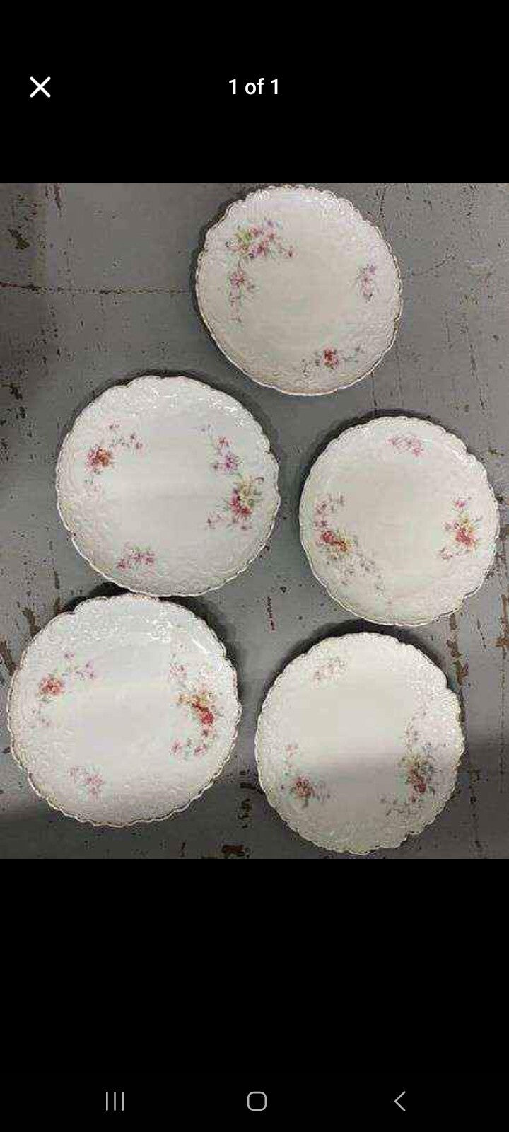Elegant Vintage Porcelain Plates – Floral Design with Scalloped Edges