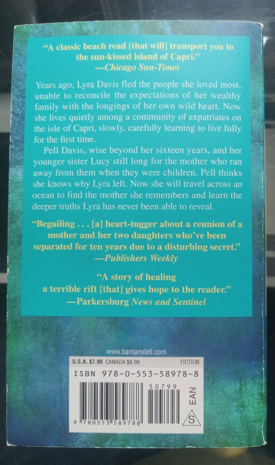 The Deep Blue Sea for Beginners Luanne Rice PB Women’s Fiction Book