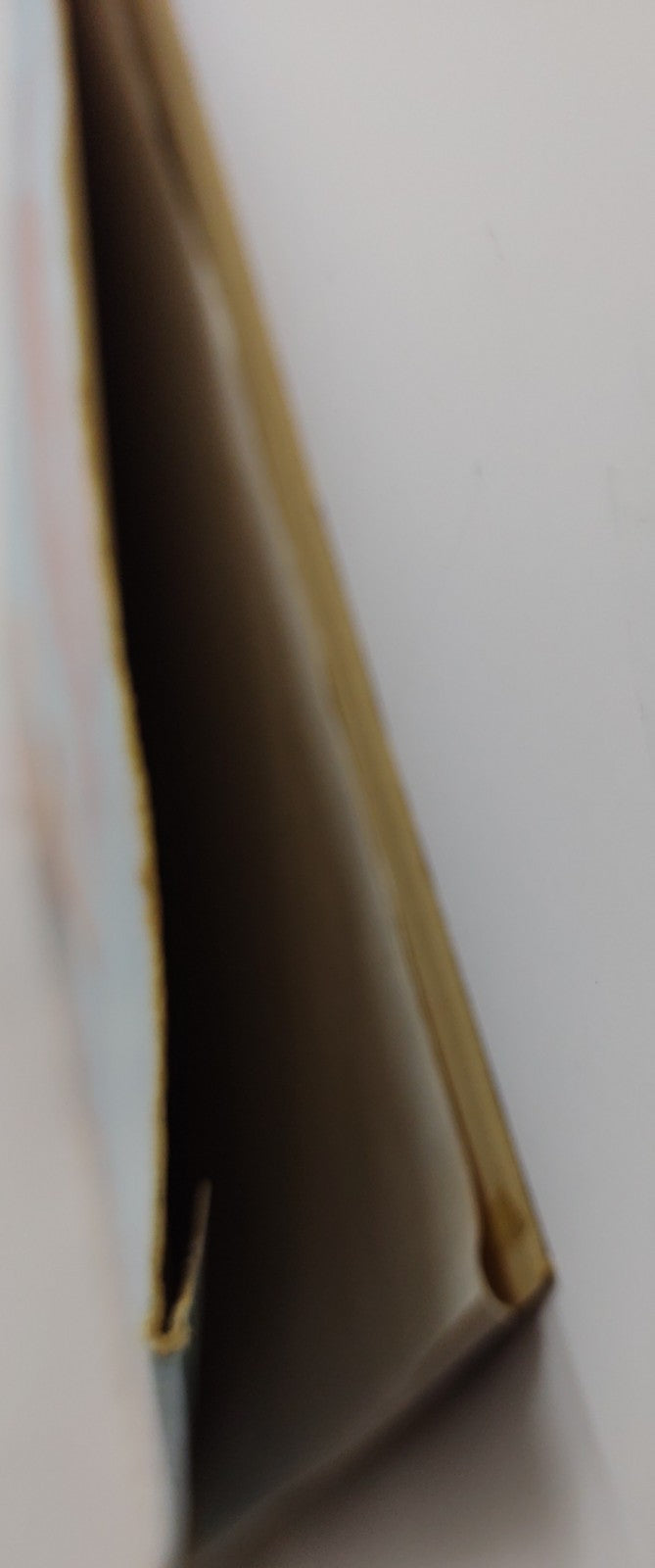 Roberto Delgado & His Orchestra - Olé Delgado | 1968 Polydor Latin LP Vinyl