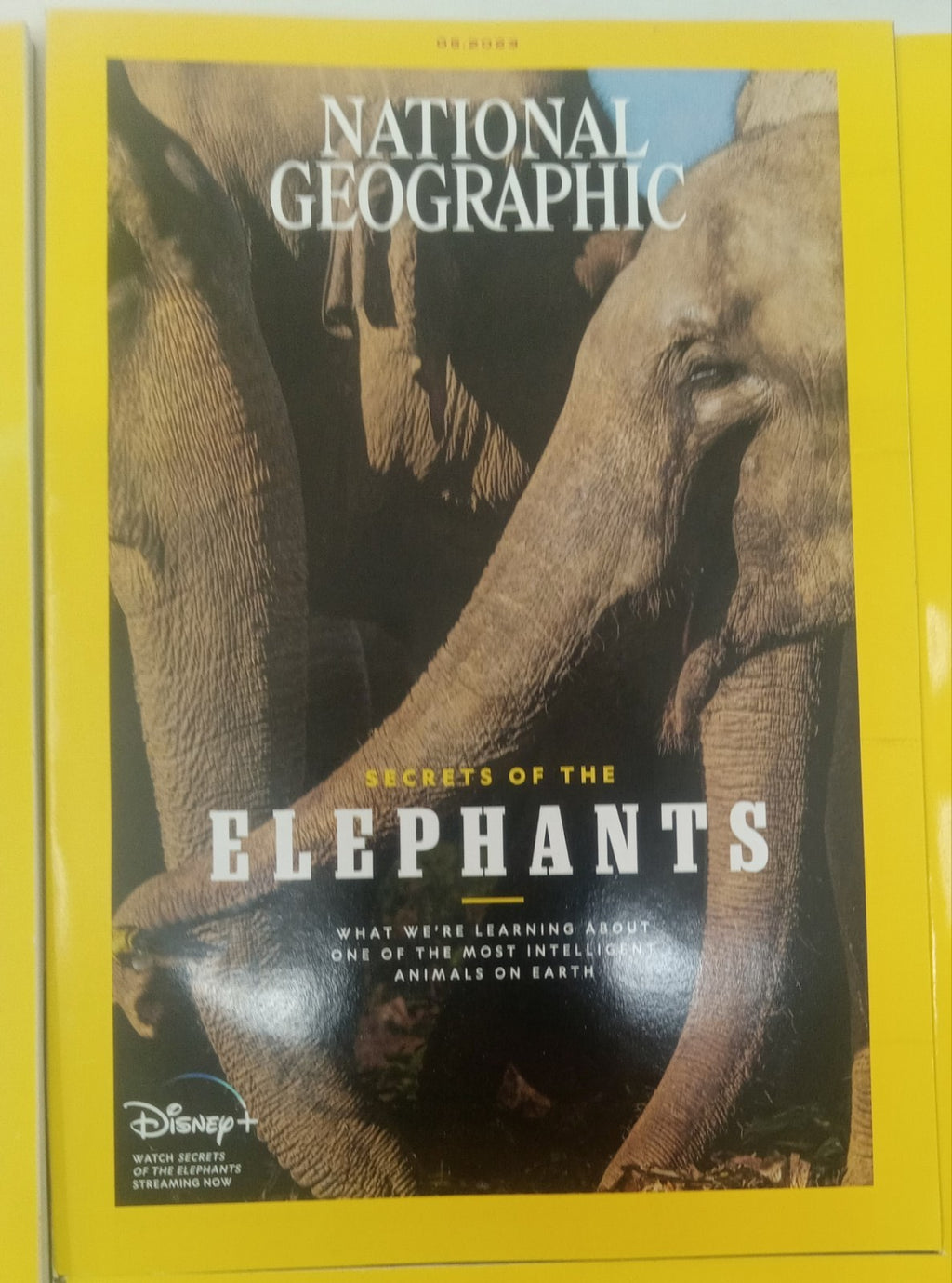 Nat Geo Magazines With Slipcover Jan To June 2023