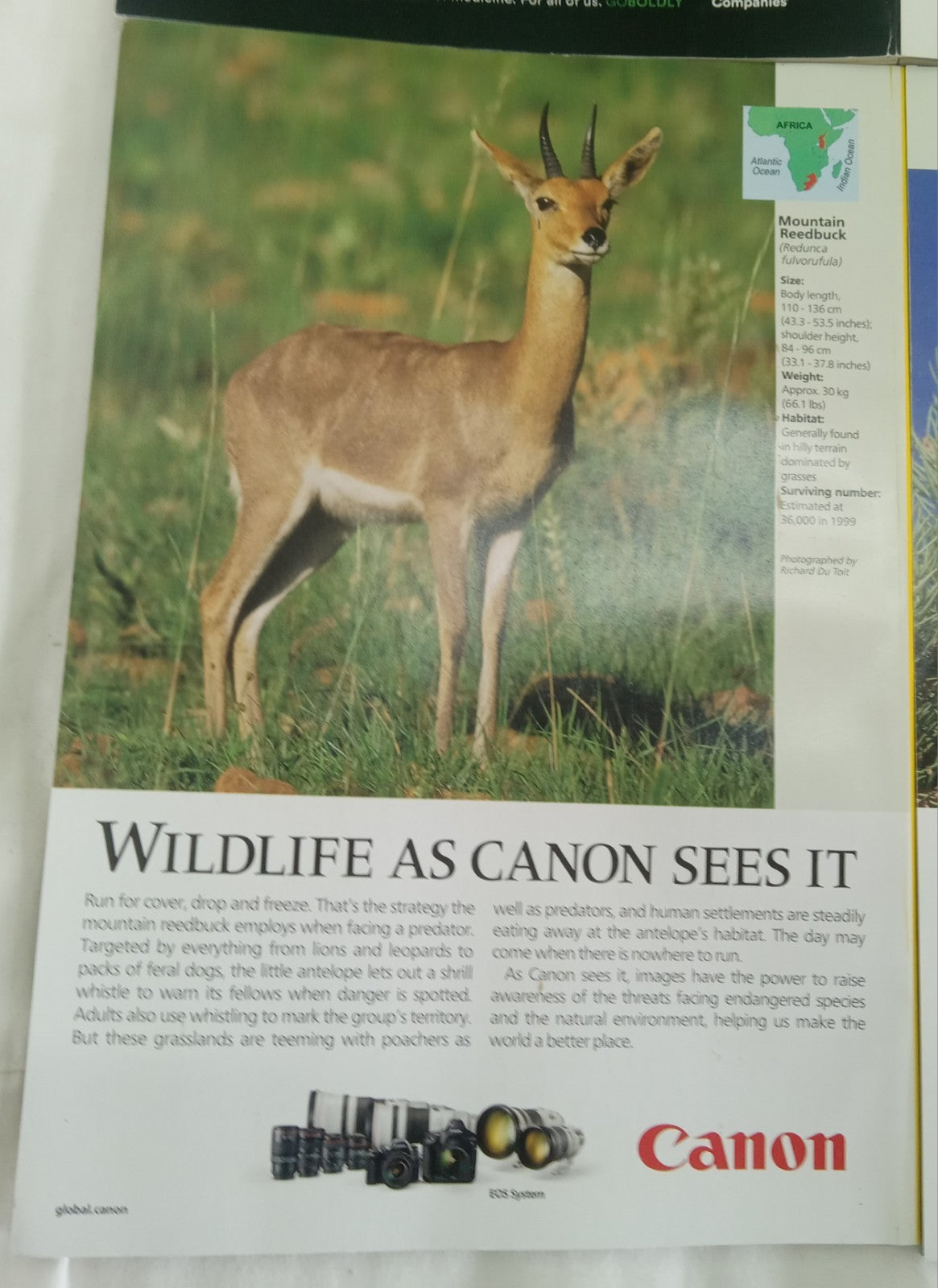 National Geographic Jan–June 2019 VG+ | Faux Leatherette Case | 6 Mags