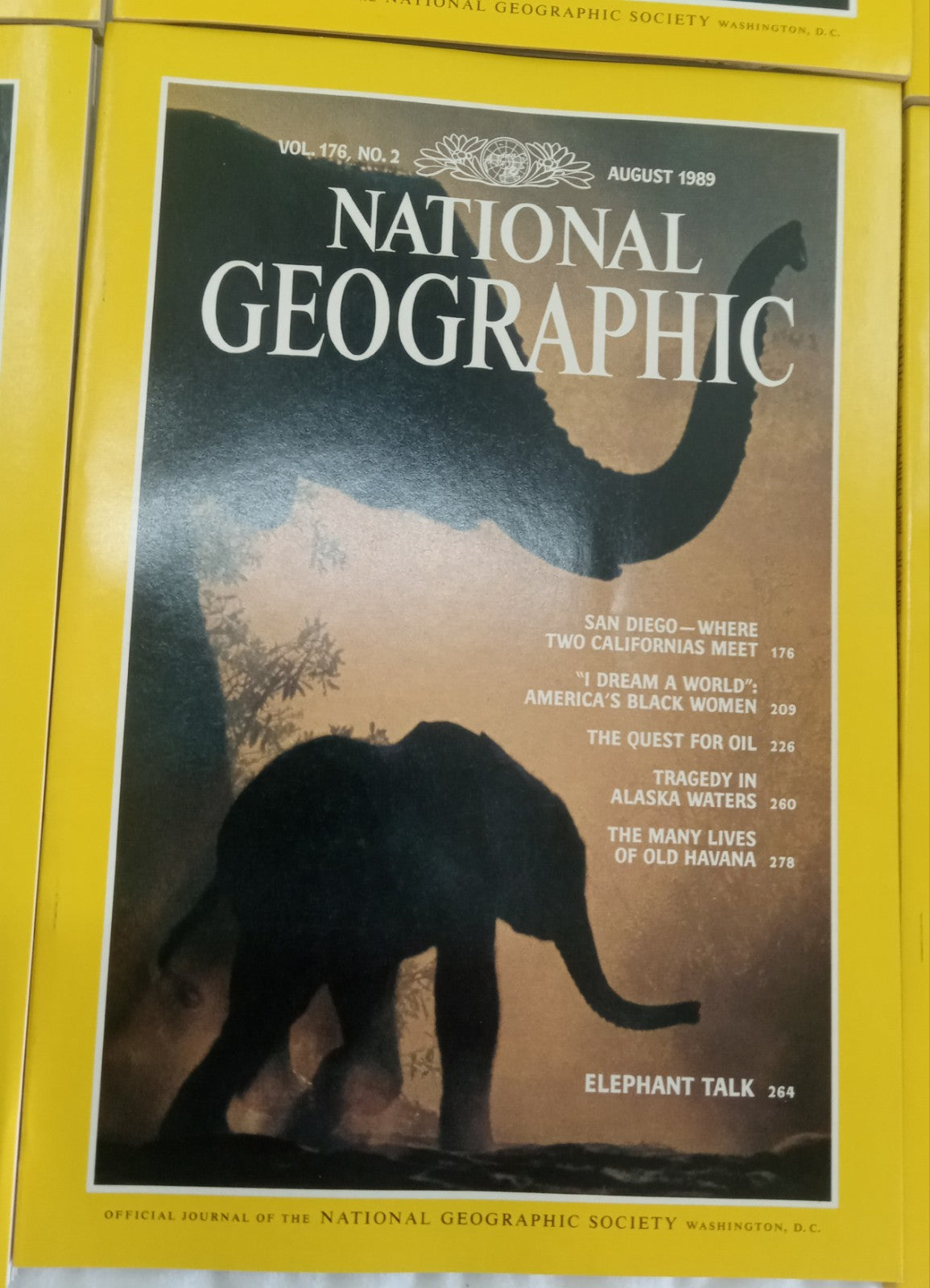 Nat Geo Magazines With Slipcover July To December  1989
