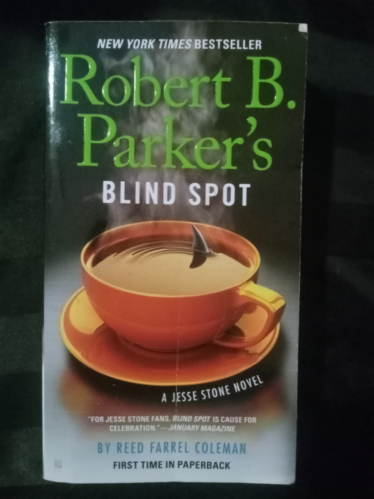 Blind Spot by Reed Farrel Coleman – Jesse Stone Mystery Novel PB VG+