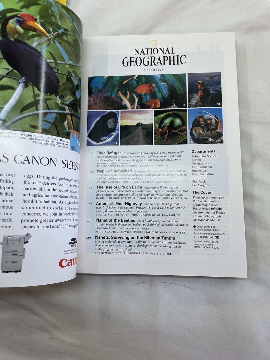 Vintage Nat Geo Jan–Jun 1998 Set w/ Slipcover | Wildlife, Photography