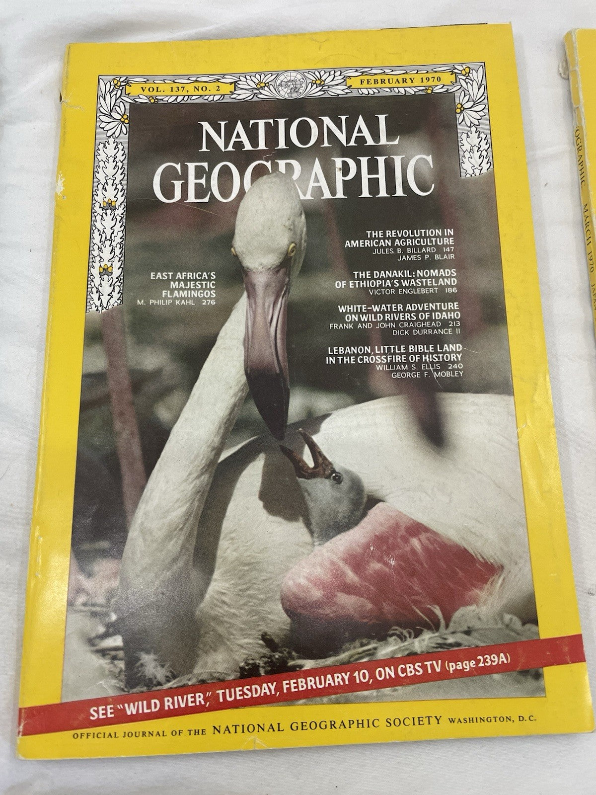 Nat Geo Mags Jan–Jun 1970 + Slipcvr Vtg Decor Lot History Nature RARE