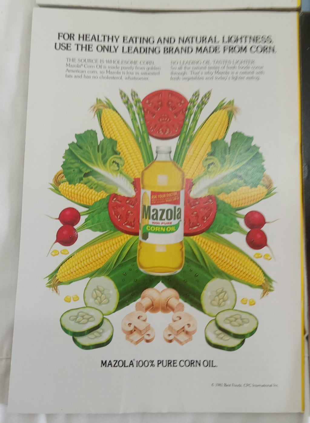 Nat Geo Jan–June 1981 VG+ | Vintage Magazine Set w/ Slipcase | 6 Issues