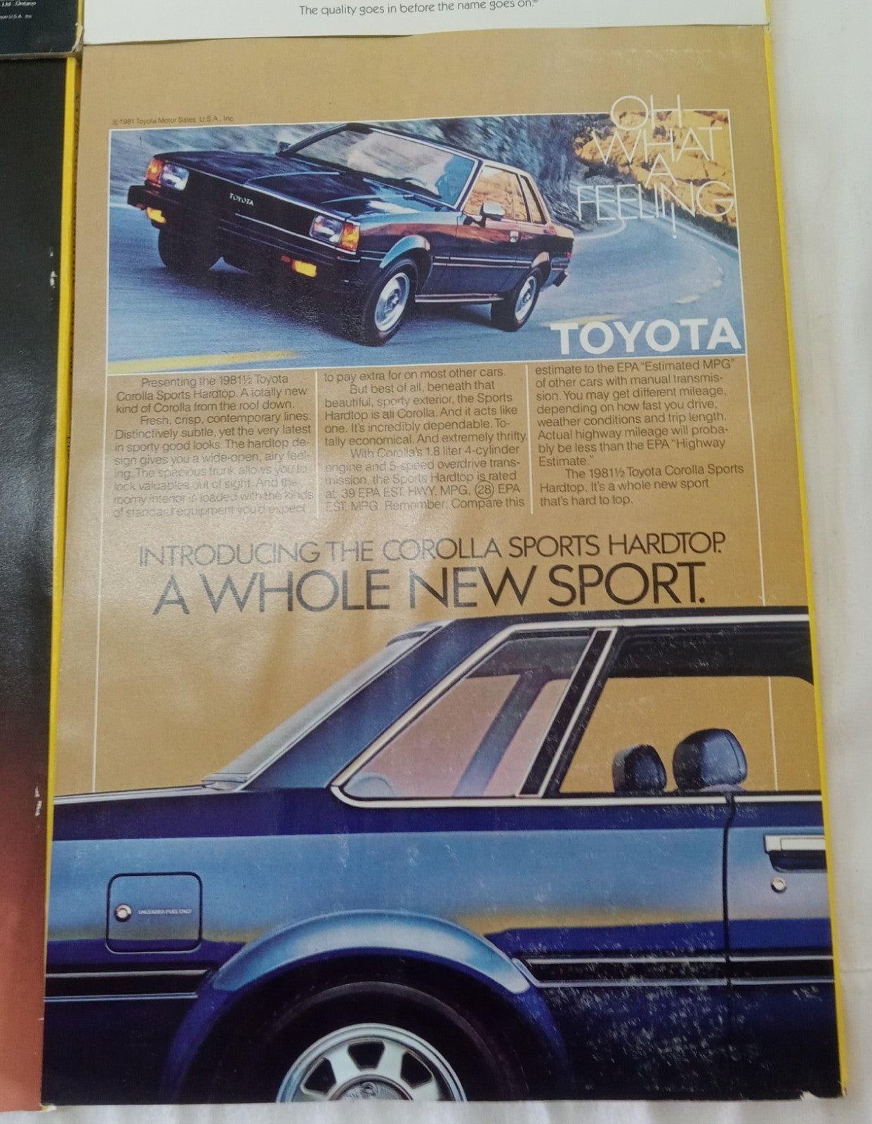 Nat Geo Jan–June 1981 VG+ | Vintage Magazine Set w/ Slipcase | 6 Issues