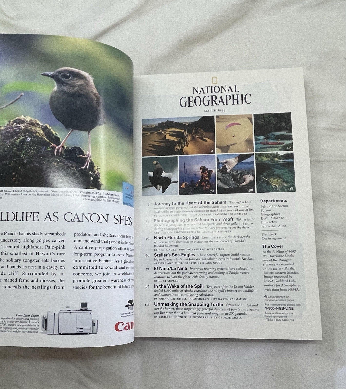 Vintage Nat Geo Jan–Jun 1999 Set w/ Slipcover | Nature, Wildlife, Earth