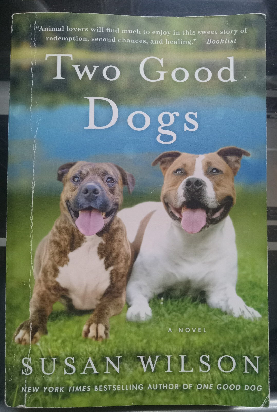 Two Good Dogs by Susan Wilson – 2017 Fiction PB VG+