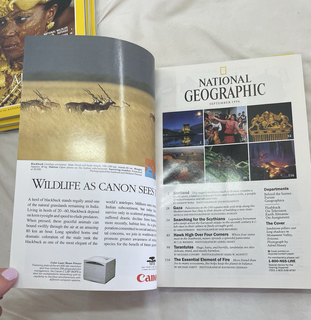 Vintage Nat Geo Lot Jul–Dec 1996 Slipcover Set | Wildlife, Illustrated